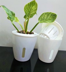 تصویر گلدان هیدرو پونیک(خود آبیار) راما پلاست سایز 9 رنگ سفید ( ابعاد13 *13 *13 سانتیمتر) 