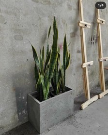 تصویر فلاور باکس بتنی concrete flowerbox