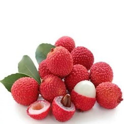 تصویر بذر لیچی 2 عددی 