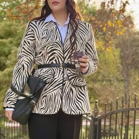 تصویر کت ژاکارد زبرا 