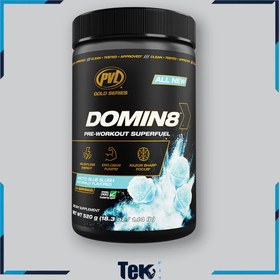 تصویر پودر پری ورک اوت دامون ۲۲۰ گرم PVL 