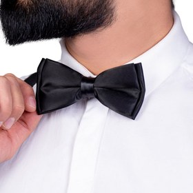 تصویر پاپیون 