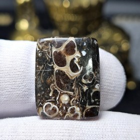 تصویر نگین سنگ طبیعی فسیل تورتیلا معدنی کد 34672 