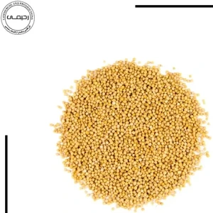 تصویر فروشگاه بازرگانی ارگانیک رحیمی شادگان