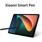 تصویر Xiaomi Pad 5 Smart Stylus Pen 