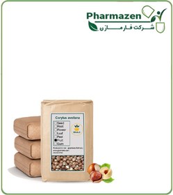 تصویر مغز فندق با پوست فله 