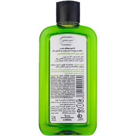 تصویر شامپو موهای چرب دیپ سنس Shampoo Amla For Oily Hair 200ml Deep Sense