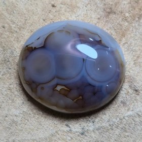 تصویر باباقوری قائن خاص. 