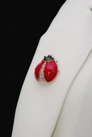 تصویر کد A-136 | گل‌سینه کفشدوزک 