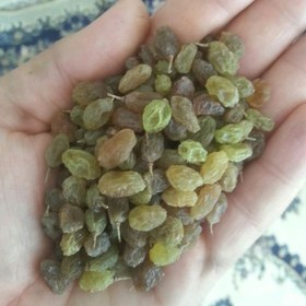 تصویر کشمش سایه خشک یک کیلویی 