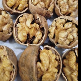 تصویر گردو پوست کاغذی اعلا ۱ کیلوگرم 