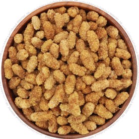 تصویر توت خشک ممتاز 