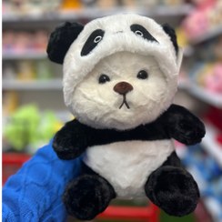 تصویر خرس سوییشرتی 