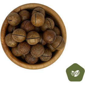 تصویر ماکادمیا 