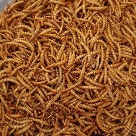 تصویر کرم بسته 100گرمی 