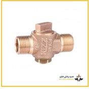 تصویر شیر شبکه کیز ایران 