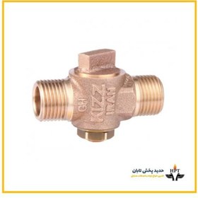 تصویر شیر شبکه کیز ایران 