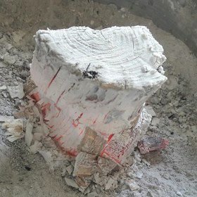 تصویر زغال لیمو سکه ۱۰ کیلوگرم 