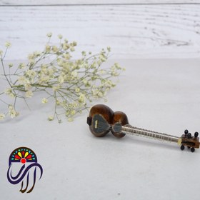 تصویر تار ایرانی 