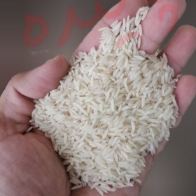 تصویر برنج کلات پاینده 