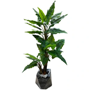 تصویر فروشگاه کابان هوم