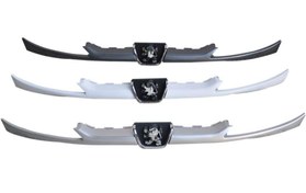 تصویر جلوپنجره پژو ۲۰۶ رنگی 