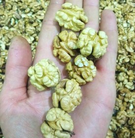 تصویر گردو خشک درجه یک1404 