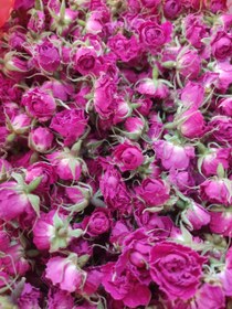 تصویر غنچه خشک گل محمدی اعلاء 