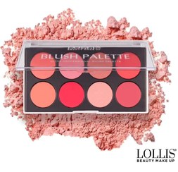 تصویر پالت رژگونه فوق حرفه ای لولیس LOLLIS _گونه های خود Pallette blush LOLIIS 01