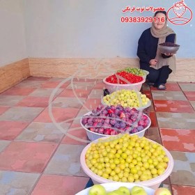 تصویر لواشک خانگی 7 میوه 