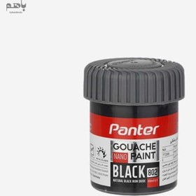 تصویر گواش پنتر رنگ مشکی کد 802 