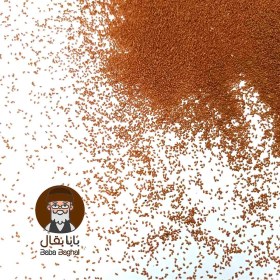 تصویر خاکشیر 