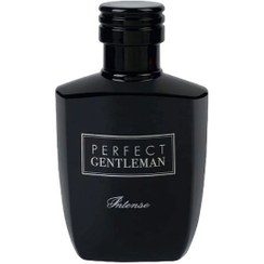 تصویر ادکلن پرفکت جنتلمن اینتنس مردانه آرت اند پرفیومPerfect Gentleman Intense حجم 100 میلی لیتر 