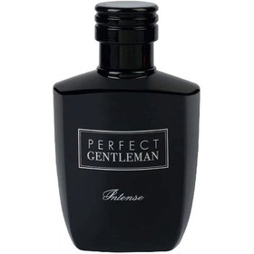 تصویر ادکلن پرفکت جنتلمن اینتنس مردانه آرت اند پرفیومPerfect Gentleman Intense حجم 100 میلی لیتر 