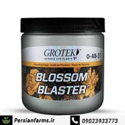 تصویر کود بلاسم بلستر گروتک ۵۰۰ گرم blossum blaster 