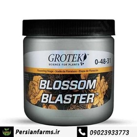 تصویر کود بلاسم بلستر گروتک ۵۰۰ گرم blossum blaster 