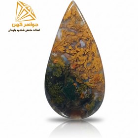 تصویر شجر پاییزی (کد ۳۸) 