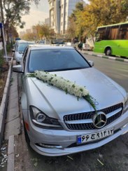 تصویر ماشین عروس کد ۱۵ 