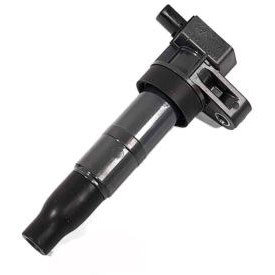 تصویر کوئل سر شمع 