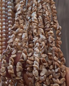 تصویر صدف قهوه ای نامنظم 