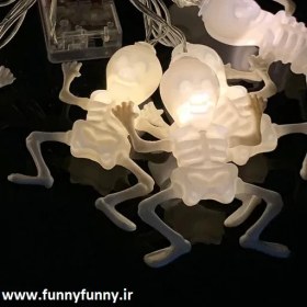 تصویر ریسه چراغدار اسکلتی 