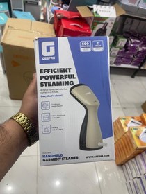 تصویر اتو بخار جیپاس 