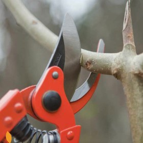 تصویر قیچی هرس شاخه زن آلتونا اسپانیا مدل 074123 Altuna Pruning Shear 0741-23