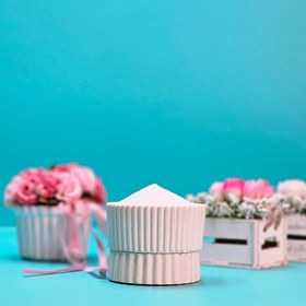 تصویر پودر سرکه نمکی 