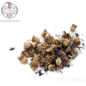 تصویر گل گندم 