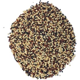 تصویر کینوا یک کیلو 