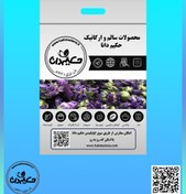 تصویر گیاه پنیرک 34 گرمی 