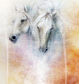 تصویر عکس با کیفیت چهره دو اسب سفید با نقوش گرافیکی 