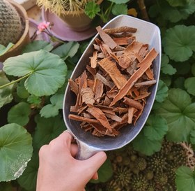 تصویر دارچین - پودر 