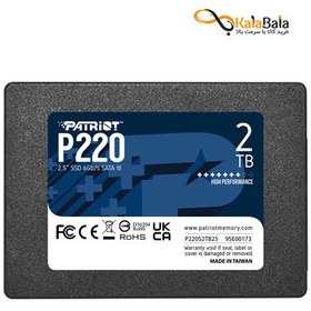 تصویر هارد اینترنال پتریوت مدل P220 • ظرفیت 2TB 